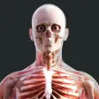 Human Anatomy 4D-Mixed Reality