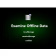 Examine Offline Data (Cookies, HTML5 Storage)