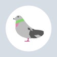 Icono de programa: ポイポイはと