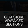 프로그램 아이콘: Giga Store Advanced Secti…