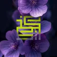 Иконка программы: 4K wallpapers HD 8K  issa