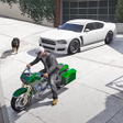 Ícone do programa: Samo: Open World Car