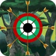 ไอคอนของโปรแกรม: Arrow Game : Archery Mast…