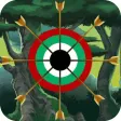Arrow Game : Archery Master