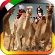 3D سباق الهجن - UAE Camel Racing