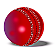 程序图标：Hit Cricket - Mobile Fing…