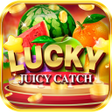 Programın simgesi: Juicy Lucky Catch