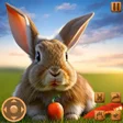 プログラムのアイコン：Rabbit Game : Rabbit Simu…