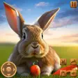 Rabbit Game : Rabbit Simulator
