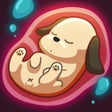 Icoon van programma: 狗生模擬器