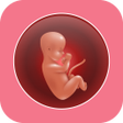 أيقونة البرنامج: Pregnancy Weeks Tracker