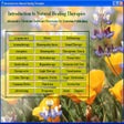 プログラムのアイコン：Natural Healing Introduct…