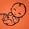ไอคอนของโปรแกรม: Your pregnancy - Day by D…