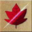程序图标：MapleHunt