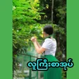 プログラムのアイコン：လကစအပ  -  အပစအပ