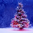 程序图标：Christmas Wallpaper