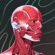 Ícone do programa: Easy Anatomy. Atlas learn…