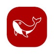 أيقونة البرنامج: DeepSeek Coder