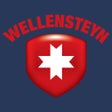 プログラムのアイコン：Wellensteyn