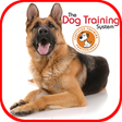 プログラムのアイコン: Dog Training