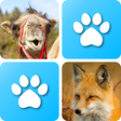 プログラムのアイコン：Pairs: Animals