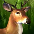 Primal Deer Hunting 2016