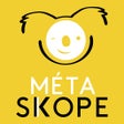 Icône du programme : Metaskope