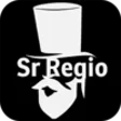 프로그램 아이콘: SR REGIO