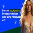 أيقونة البرنامج: PixCleaner