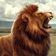 程序图标：Games 2023 - Lion 2023