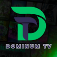 程序图标：DOMINUM TV