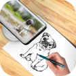 أيقونة البرنامج: Sketch Copy: Trace  Draw