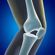 Icon of program: Rodilla App