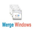 Ícone do programa: Merge Windows