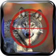 程序图标：Wild Wolf Deer Hunting Se…