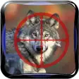 Wild Wolf Deer Hunting Season