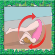 プログラムのアイコン：Floor Gymnastics Tutorial