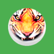 プログラムのアイコン：BaghChal - Tigers and Goa…