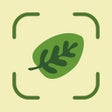 Symbol des Programms: Leaf Identification
