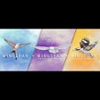 ไอคอนของโปรแกรม: Wingspan  European Expans…