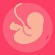 プログラムのアイコン：Gestational Age babys age
