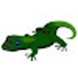 أيقونة البرنامج: GeckPix