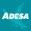 Programın simgesi: ADESA Marketplace