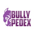 أيقونة البرنامج: Bully Pedex