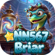 Icono de programa: NN567Briar