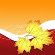 Ícone do programa: Autumn Frames PhotoFram.e…