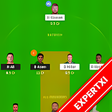 程序图标：DreamTeam11 - Team for Dr…