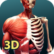 Icoon van programma: Human Anatomy 3D