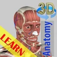 プログラムのアイコン：3D Bones and Organs Anato…