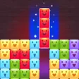 Icoon van programma: Block Blast Master: Puzzl…